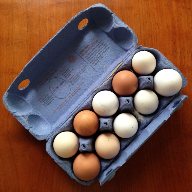 Blue carton of 10 eggs in different shades of brown and white